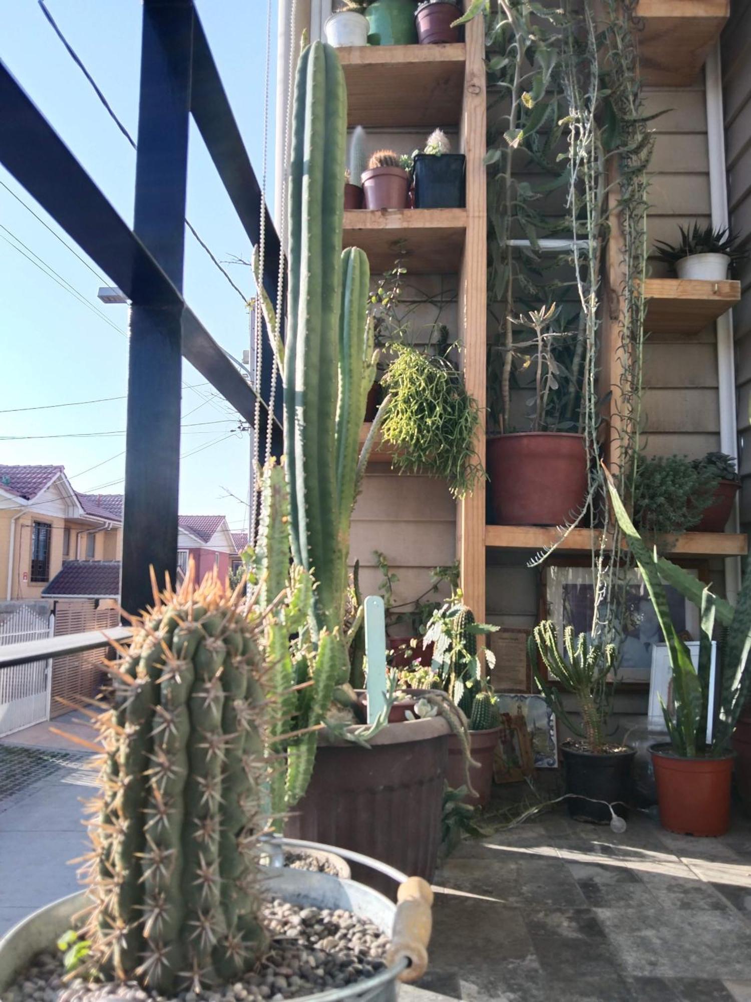 Hostel Tu Espacio Re - Habitaciones Cerca Del Aeropuerto ซานติอาโก ภายนอก รูปภาพ